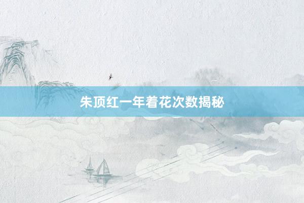 朱顶红一年着花次数揭秘