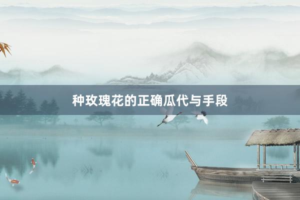 种玫瑰花的正确瓜代与手段